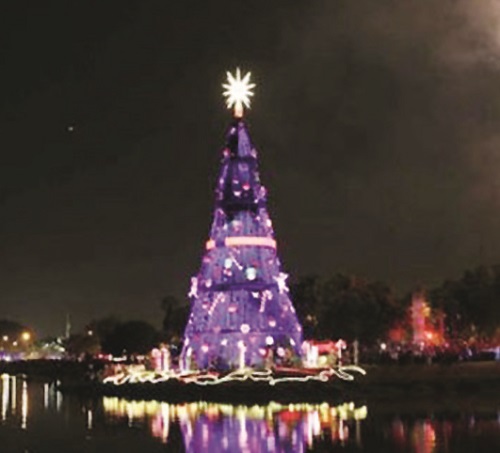 Maior árvore de Natal vai este ano para o Parque Villa-Lobos - Gazeta de  Pinheiros